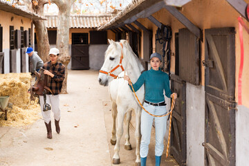 Equestrian yard workers doing daily chores on autumn day. Young woman leading white racehorse to...