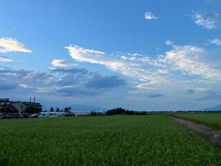 220823田んぼ樋越
220823田んぼ今塚

田んぼ, 空, 雲, 晴れ, 夕暮れ 