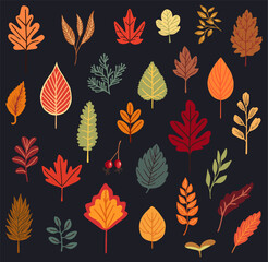 Vector abstract autumn set. Set of autumn decorative elements for your design.Vector illustration.
