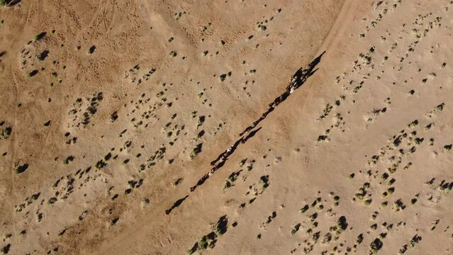 Mongolia Gobi Desert Drone 4K Sky nature bayanzag mountain camel 