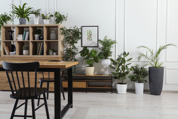Table with chairs and wooden shelving unit, books and many potted houseplants in stylish room