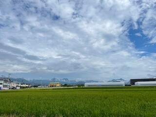 210822伊勢そば

田んぼ, 東根市伊勢そばのちかく, 空, 雲, 晴れ 