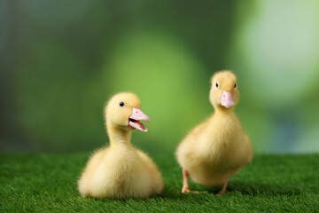 Cute fluffy ducklings on artificial grass against blurred background, closeup. Baby animals