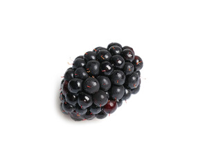 One tasty ripe blackberry isolated on white