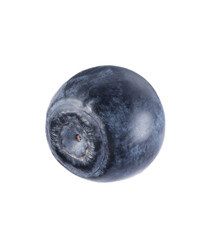 One ripe bilberry isolated on white. Seasonal berries