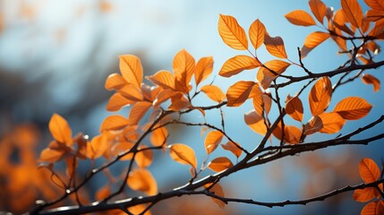 A beautiful branch of orange leaves in the light against the blue sky. Generative AI. 