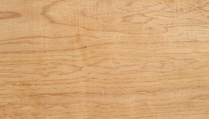 Obraz premium Birch plywood. High-detailed wood texture series.