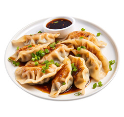 delicious dumplings gyoza on a Transparent Background, png