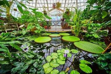 Close up view of pond area inside Conservatory of flowers with railing and exit doors