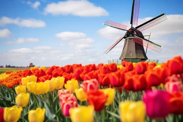 Keuken spatwand met foto vibrant field of tulips, a majestic windmill stands tall, painting a picturesque scene of natural beauty and Dutch charm © Anh