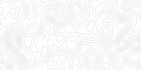 Fototapeta premium Background lines Topographic map. Geographic mountain relief. Abstract lines background. Contour maps. Vector illustration, Topo contour map on white background, Topographic contour lines.