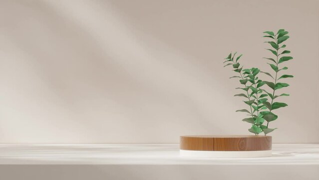 blank mockup wood texture cylinder podium of with seamless shadow animation looping green leaf plant, rendering 3d footage