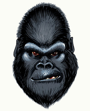 Mad gorilla face. Retro styled hand-drawn ink on paper and hand colored on tablet