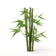 Fototapeta na wymiar Image of green bamboo tree on white background. Nature. Illustration, Generative AI.