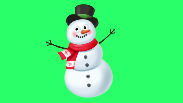 Animation cartoon snowman christmas object on green background.
