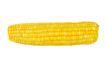 Corn on the cob kernels transparent png
