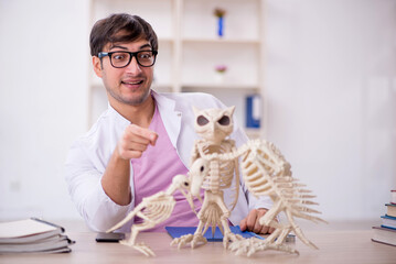 Young male paleontologist examining ancient animals at lab