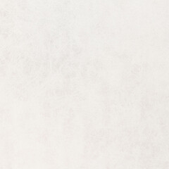 Fototapeta premium white canvas texture