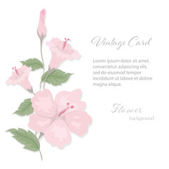Pink Flowers invitation card  frame template on white background. Floral nature greeting card can be used for wedding, birthday, holiday, flyers, brochure or other background.Vector illustration EPS
