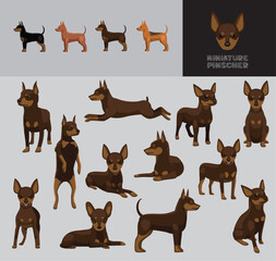 Dog Miniature Pinscher Cartoon Vector Illustration Color Variation Set Tan Chocolate
