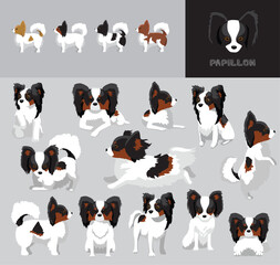 Dog Papillon Tricolor Coat Cartoon Vector Illustration Color Variation Set
