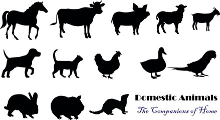  domestic animals silhouette vector illustration isolated on white,  horse, cow, goat, donkey, dog, cat, chicken,  duck,  rabbit,  pig, sheep, Guinea pig, Hamster,Parrot, Ferret