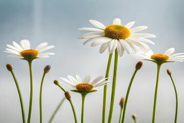 daisies in a field generated ai