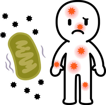 弱ったミトコンドリアと体内の炎症のイメージ