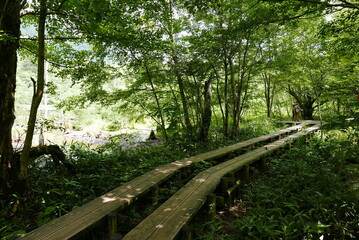 Kamikochi (Upper Highlands) is a remote mountainous highland valley within the Hida Mountains range, in the western region of Nagano Prefecture, Japan. Japanese hiking and trekking.