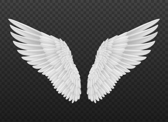 Fototapeta na wymiar Realistic isolated angel wings with white feathers. Isolated 3d vector graceful and ethereal symbol of divine protection and spiritual guidance, evoke a sense of heavenly beauty and serenity