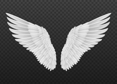 Realistic isolated angel wings with white feathers. Isolated 3d vector graceful and ethereal symbol of divine protection and spiritual guidance, evoke a sense of heavenly beauty and serenity