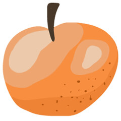 cute orange illustration with small leaf fresh fruit