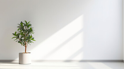 a modern white wall with a potted indoor plant in one corner.Generative Ai