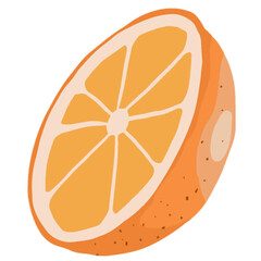 cute orange illustration with small leaf fresh fruit