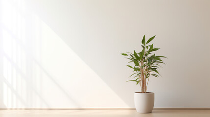 a modern white wall with a potted indoor plant in one corner.Generative Ai