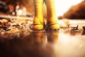 Kid standing on foliage . Legs of children in  boots standing in puddle with orange fallen leaves in autumn.