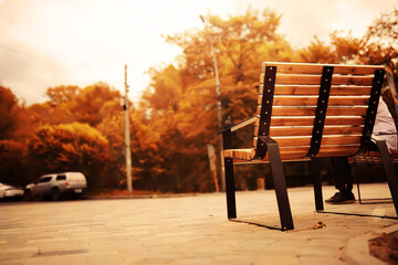 Taking a rest on a wooden bench in the park during autumn season