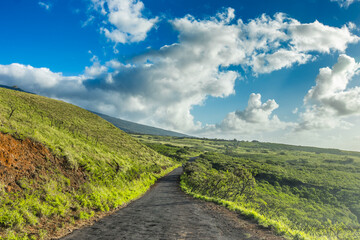 Remote area road of Hawaii island of Maui