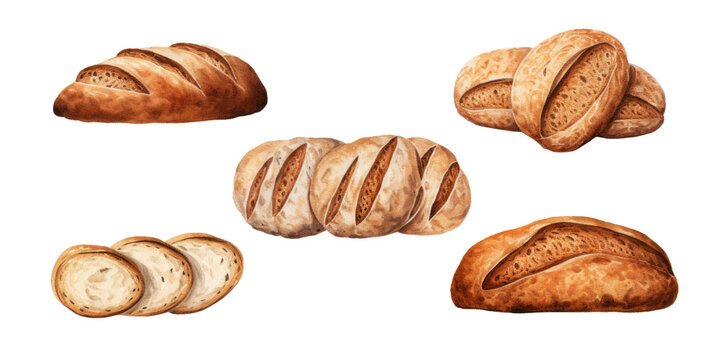 Watercolor bread baguette illustration without background