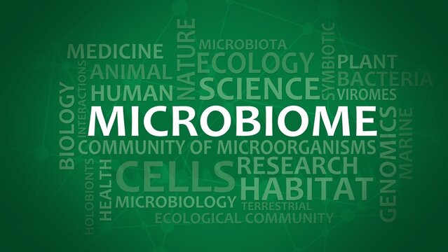 Microbiome typography graphic work, consisting of important words and concepts. 3D render