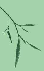 未命名作品