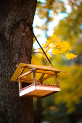 Bird feeder on a tree in autumn