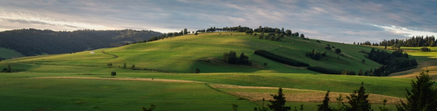 Pieniny, Panorama zielonego wzg&oacute;rza w Małych Pieninach, Pieniny Spiskie, Kacwin, Widok z Łapsz Niżnych
