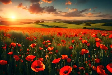 Beautiful nature background with red poppy flower poppy in the sunset in the field. Remembrance day, Veterans day, lest we forget concept. 3d render - obrazy, fototapety, plakaty