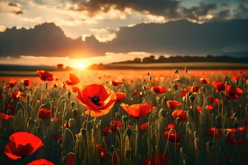 Beautiful nature background with red poppy flower poppy in the sunset in the field. Remembrance day, Veterans day, lest we forget concept. 3d render - obrazy, fototapety, plakaty