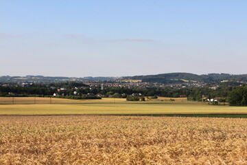 Fototapeta na wymiar Blick auf die Felder im Hochsommer rund um die Stadt Menden im Sauerland