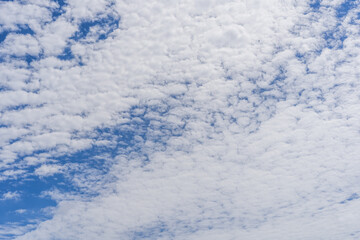真夏の青空と白い雲