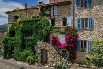 Blooming bougainvilia, jasmine and ivy covered wall of am old stone house in the medieval town of Saint Paul de Vence, French Riviera, South of France