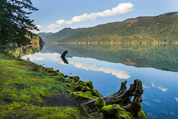 Reflecting Beauty: Scenic Nature by Lake Crescent on the Olympic Peninsula in Washington State