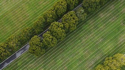 Aerial View of Round Green Trees in Cemetery